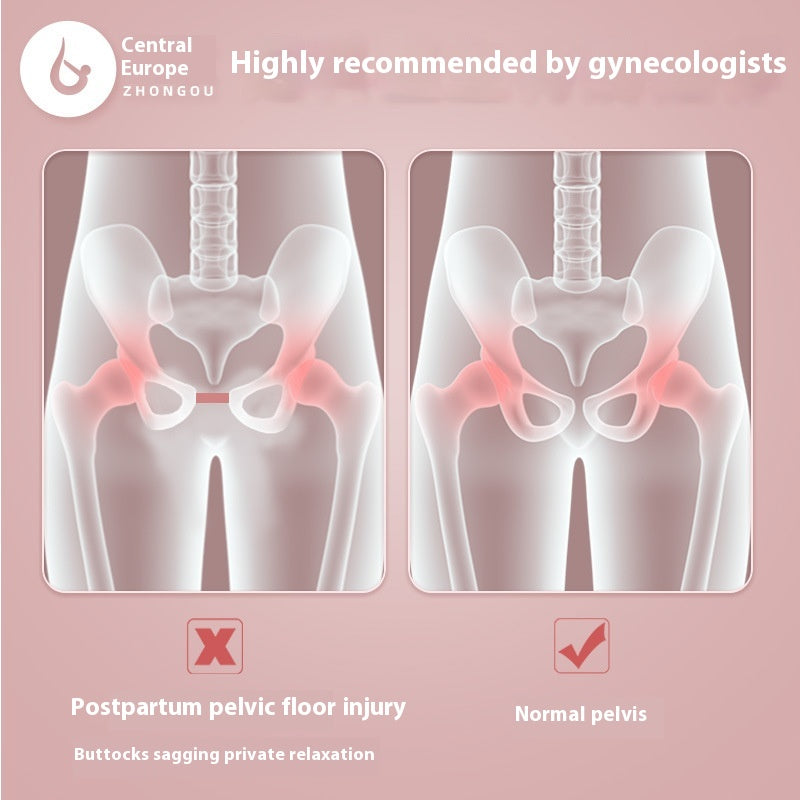 Pelvic Floor Muscle Trainer